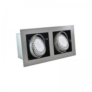 Cardan en acier pour deux ampoules QR111 LED