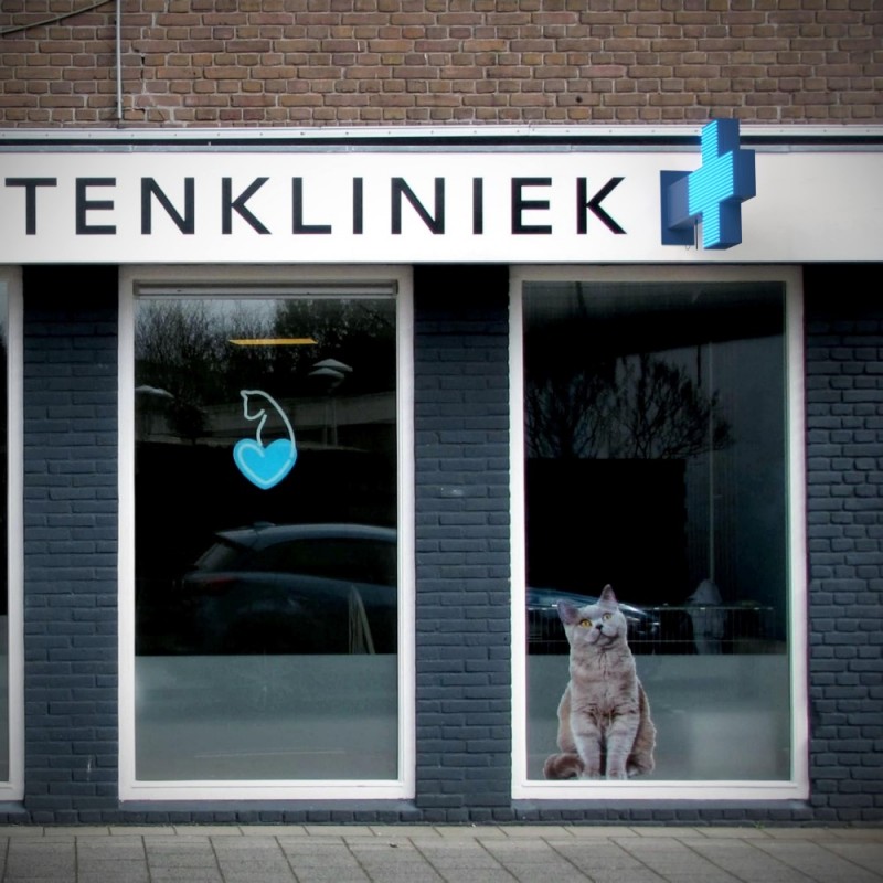 vétérinaire vétérinaire