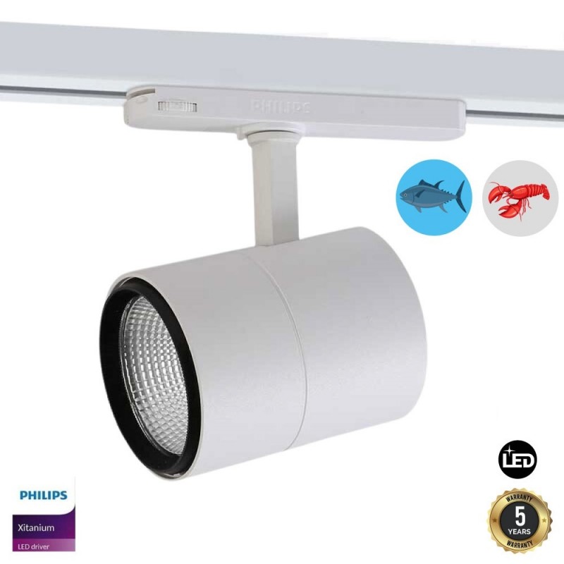 Projecteur LED pour attraction de pêche 720W