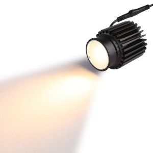 Module LED 15W blanc chaud