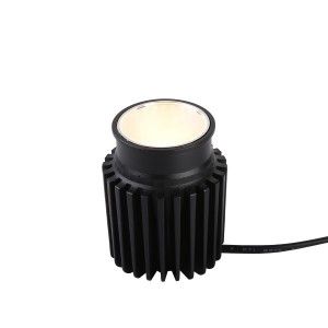 module downlight