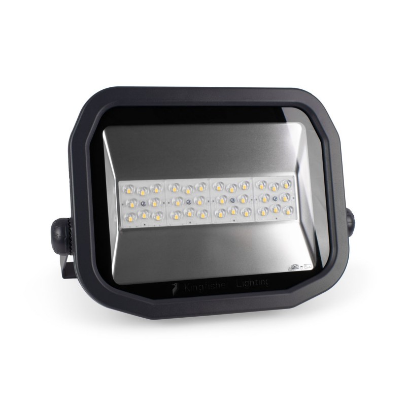 Projecteur LED extérieur 100W