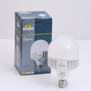 Ampoule LED E27 haute puissance -15W - CCT - Fumagalli - ø100mm