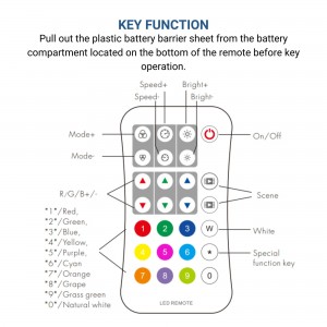 Télécommande pour ruban LED RGB/RGBW Contrôleur de bande LED SPI IC  RGB/RGBW - 1 Zone