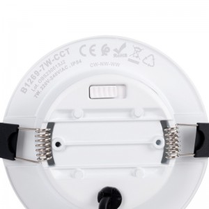 Downlight CCT extérieur