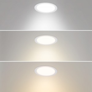 Downlight CCT