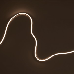 Néon LED flexible