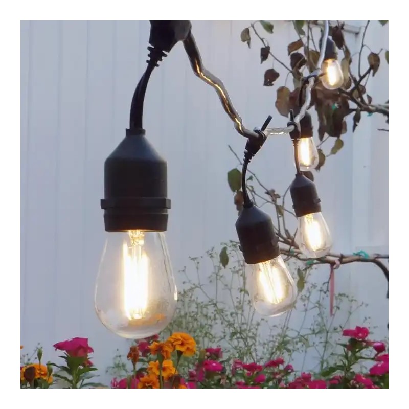 Guinguette 10 ampoules Guinguette 10 ampoules