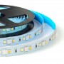 Ruban LED RGB+CCT - 70W - 24V - IP20 - 5 mètres