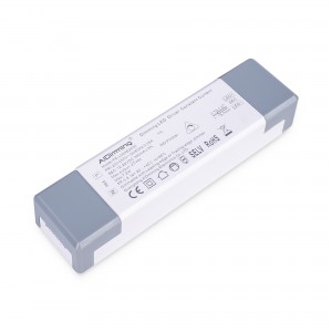 Driver dimmable TRIAC 12-24V DC - 300mA - 6W