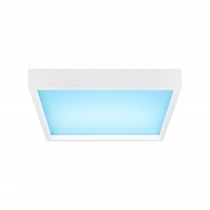 Panneau LED "Blue Skylight" effet de ciel - Daylight - 90W - 60x60cm