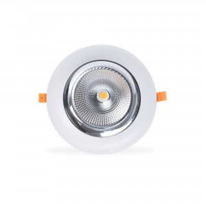 Spot LED encastrable 30W spécial poissonnerie