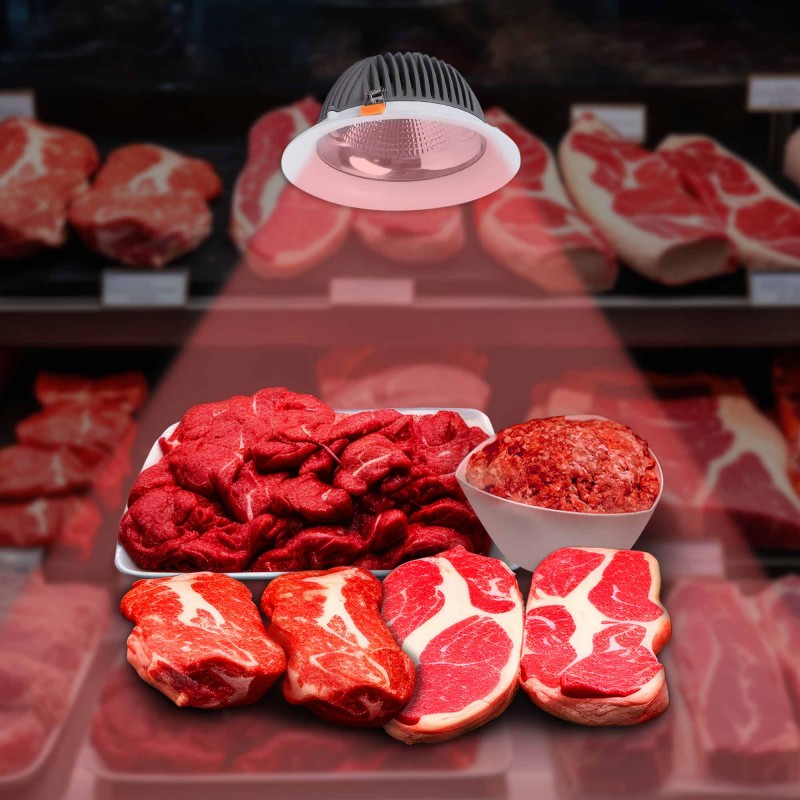 Spot encastrable LED viandes Spot encastrable LED viandes