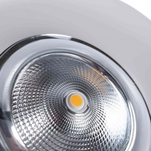 Spot boucherie LED