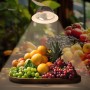 Spot LED fruits et légumes