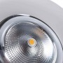 Downlight 30W