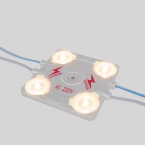 Module LED caisson enseignes  lumineuses