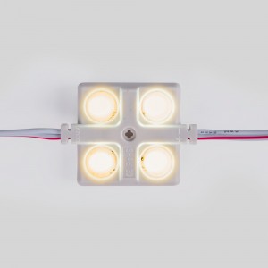 Module LED blanc chaud 12V