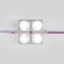 Module LED blanc froid 12V