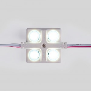 Module LED blanc froid 12V