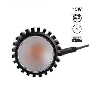 Module LED 15W pour spot encastré