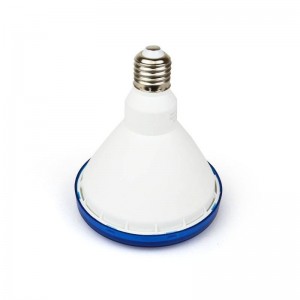 Ampoule LED PAR38 extérieur