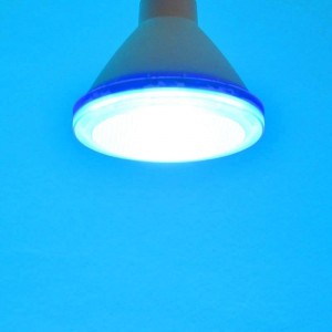 Ampoule LED bleu  extérieur