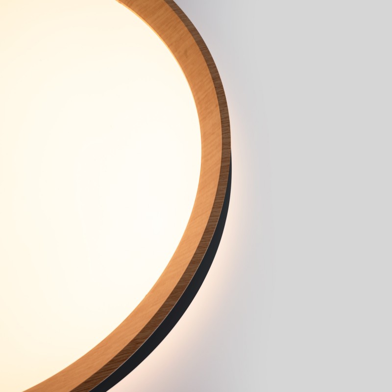 Lampe de plafond ronde 24W