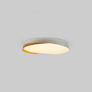 Lampe de plafond salon