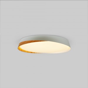 Lampe de plafond salon