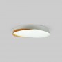 Plafonnier LED rond CCT