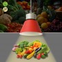 Cloche LED fruit et légumes