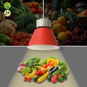 Cloche LED fruit et légumes