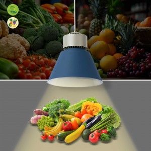 Lampe commerciale LED
