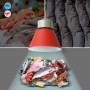 Lampe LED moderne et commerciale