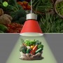 Cloche LED légumes