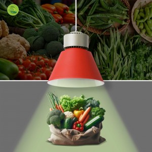 Cloche LED légumes