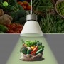 Lampe commerciale LED