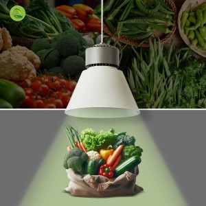 Lampe commerciale LED