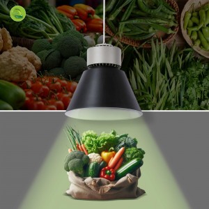 Cloche LED primeurs