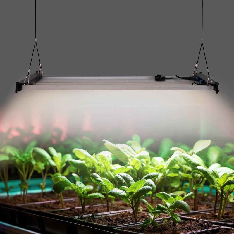 Lampes LED horticole pour la culture indoor