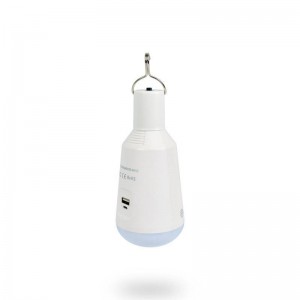 Ampoule portative led