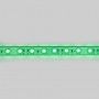 Bande LED RGB + blanc immergeable