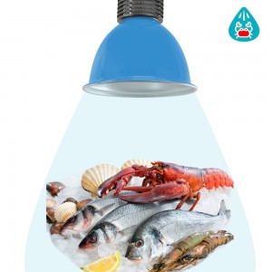 Cloche LED 30W spécial poissons et fruits de mer