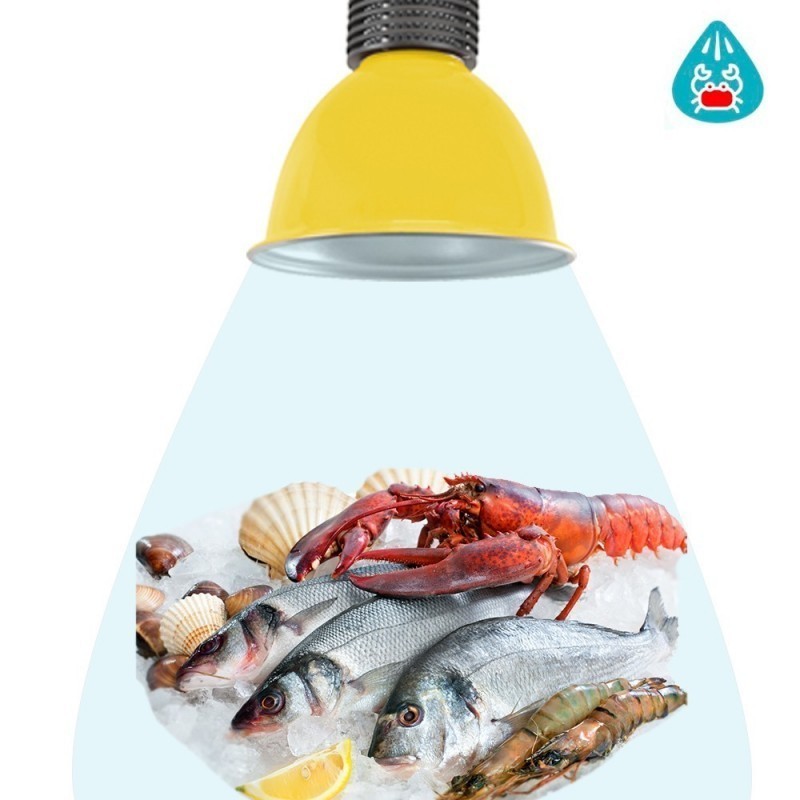 Cloche LED poissons fruit de mer