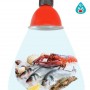 Cloche LED 30W spécial poissons et fruits de mer (Bleu) Cloche LED 30W spécial poissons et fruits de mer (Bleu)