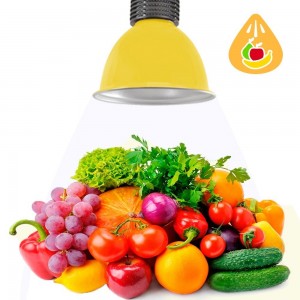Cloche LED 30W spécial fruits et légumes