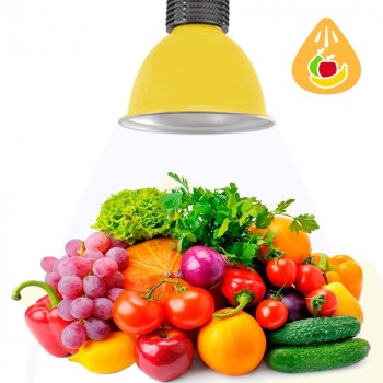 Cloche LED 30W spécial fruits et légumes Cloche LED 30W spécial fruits et légumes