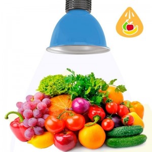 Suspension cloche 30W spécial fruits et légumes