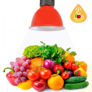 Cloche suspendue colorée fruits et légumes